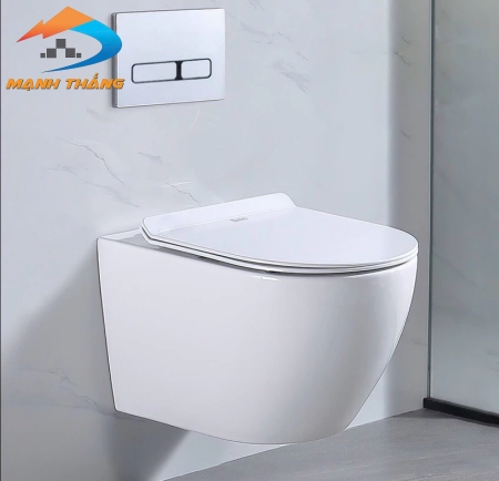 Bồn Cầu Treo 6024