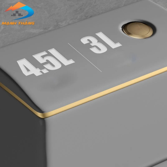 Bồn Cầu Khối 6010 GG 