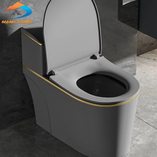 Bồn Cầu Khối 6010 GG 