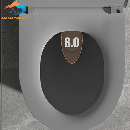 Bồn Cầu Khối 6010 GG 