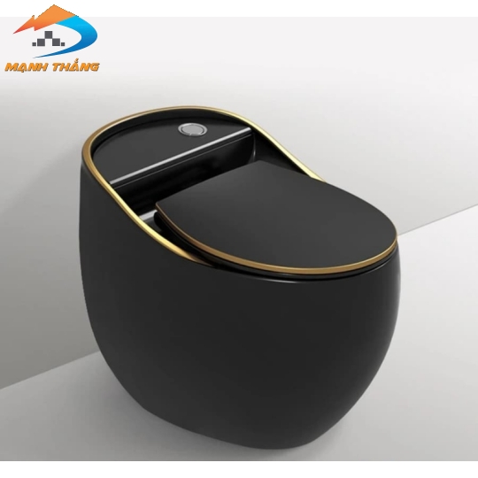 Bồn Cầu Khối 6078 Black