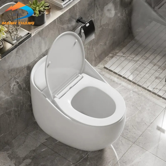 Bồn Cầu Khối 6078