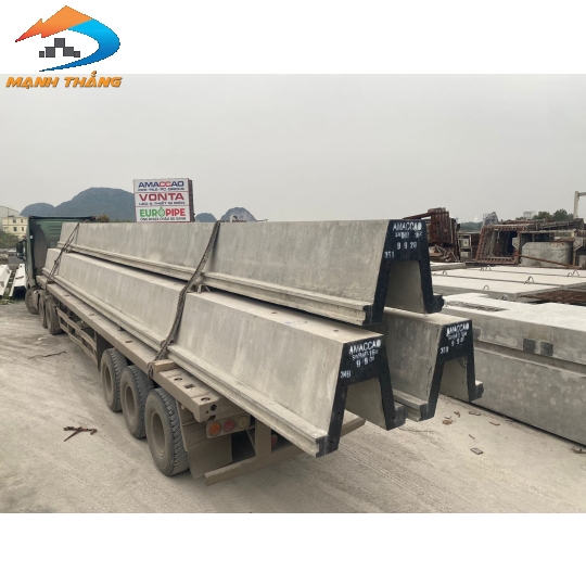 Cọc cừ ván SW300 DƯL