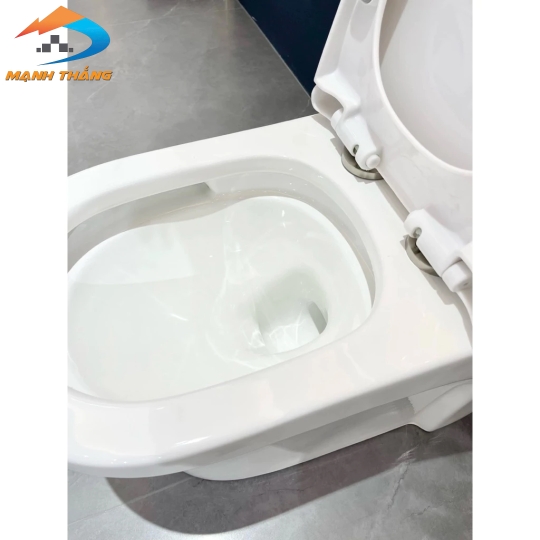 Bồn Cầu Khối 6051