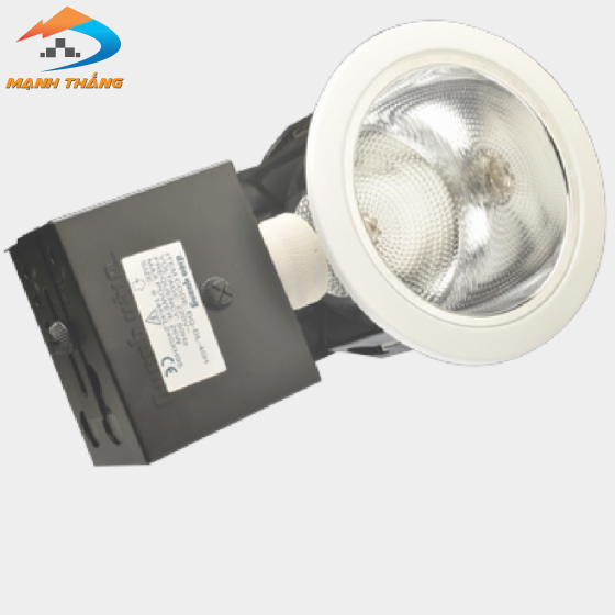 Chóa lon âm trần Điện Quang ĐQ HRD02G 1402E27 (ngang 5"5 (140mm) có kiếng 2xE27)